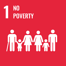 sdg 1 img